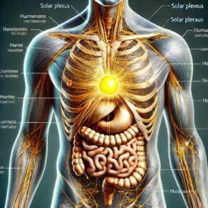 Location of the Solar Plexus